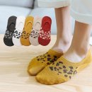 봄여름가을 이미지