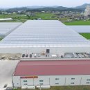 우성 팜 이미지