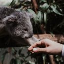 인생 퍼스널트레이닝 이미지