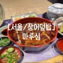 청구빌딩, 마루심 이미지