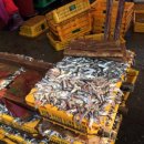 개좌골 추어탕 이미지