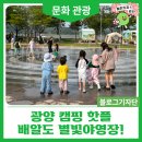 농사체험자동차야영장 | 광양 캠핑 핫플 배알도 별빛야영장!