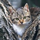 골프죤여기로 이미지