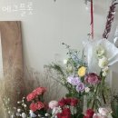 에그플롯 이미지
