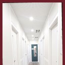 바이올린 심화과정 이미지