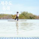 제주돌문화공원 | 제주도 동쪽 가볼만한 곳 제주돌문화공원