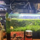 보광(아) 이미지