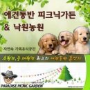 낙원농원 이미지
