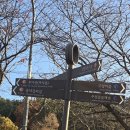 강동사랑길 이미지