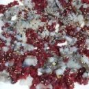 신안갯벌세발낙지 이미지