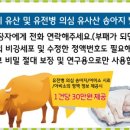웰빙축산 - 부천시 원미구 옥산로150번길 5 | 웰빙축산