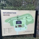 바움 이미지