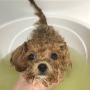 헬로우버디 판교밸리점 이미지