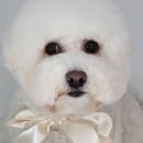 산호동457 이미지