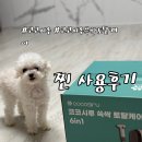 강아지미용기 코코시루토탈케어 실사용후기