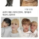 헤이버디