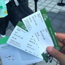 장충체육관 | [서울] 장충체육관, 프로미스나인 콘서트 직관 후기(요정님들 비주얼 폭발..🧚🏻✨)