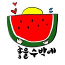 송소담 네이버블로그