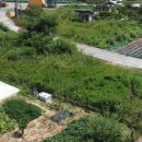 강화반석공인중개사사무소 이미지