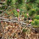 비금도횟집 이미지