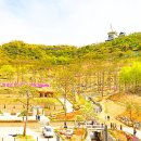 봄:정원 - 달성군 테크노중앙대로 326-34 | 봄:정원
