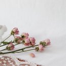 와이에스플라워 | 도자기 화병 와이에스세라믹스 꽃을 돋보이게 하는 미니 화병