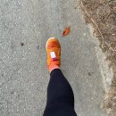 청원경로당 | 청주 대청호마라톤 10km완주 후기/런데이 8주 후기(30분 달리기)/기안84봄!!