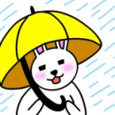 해미 동태탕찜 이미지