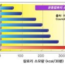 태권도 한국체육관 이미지