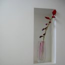 안나파크 이미지