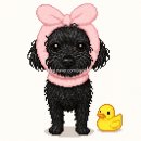 단비애견 미용실 이미지