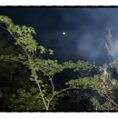 달뜨는언덕 이미지