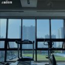 스텔라인핏