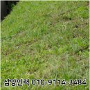 계성인력
