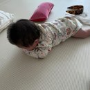 커피320 | 쥬다르 폴더매트 | 쥬다르 폴더매트 특대형 320*280 size - 2달 사용 후기