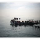 공룡의숨결 이미지