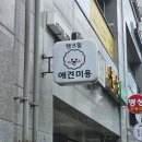 텐즈힐 애견미용 이미지