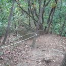 용인정신병원 이미지