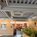 디애몽 | 고양시 애견운동장 있는 애견카페 카페애몽~ 나나랑 놀러 가기 (북한산 애견카페)