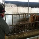 파수골농장 이미지