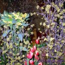 성전2호 이미지