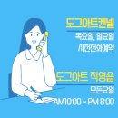 도그아트켄넬 이미지