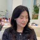 다움데일리