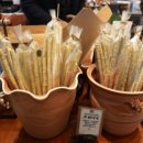 동백베이커리 이미지