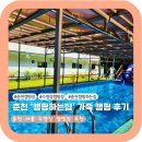 🏕 여름 수영장 캠핑장 추천｜춘천 ‘캠핑하는집’ 가족 캠핑 후기