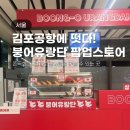붕어유랑단 - 송파구 | 김포공항 국내선 터미널 붕어유랑단 팝업 위치,가격, 맛 종류 후기