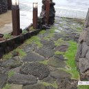 에너벨리 이미지