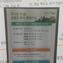 [일산 글램핑 맛집을 찾아서] 도심 속에서 즐기는 글램핑의 맛 | 루프탑더쉼 셀프바베큐 글램핑 후기