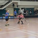 경기 피닉스 이미지