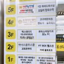 올로초코